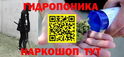 скорость Вышний Волочёк