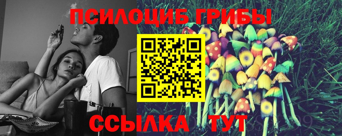 Галлюциногенные грибы Psilocybine cubensis  Галлюциногенные грибы мухоморы  Вход с VPN  Нововоронеж 